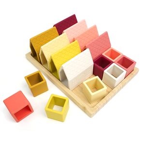 Montessori Wooden Silicone Combo Puzzle